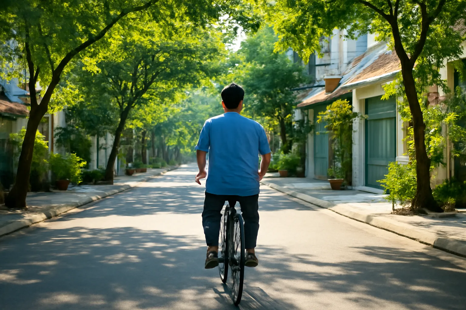 Người đàn ông đạp xe chậm qua con đường khu dân cư rợp cây buổi sáng